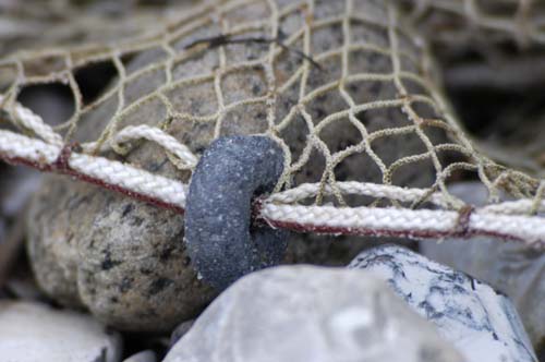 Dnemark - Insel Aero