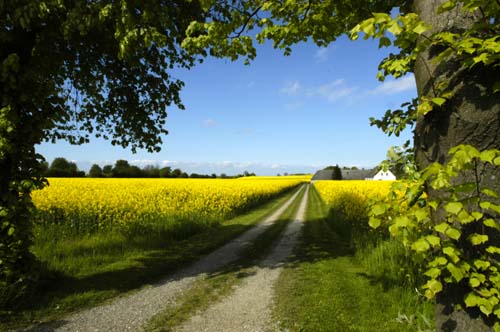 Dnemark - Insel Aero