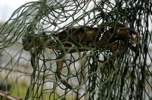 Dnemark - Insel Aero