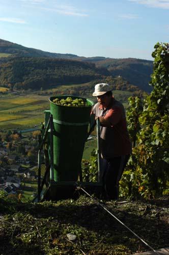 Mosel - Traben-Trabach