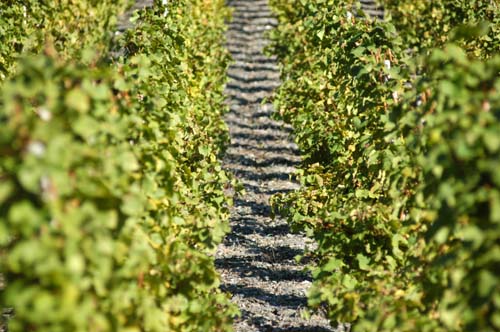 Mosel - Traben-Trabach