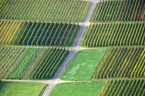 Mosel - Traben-Trabach