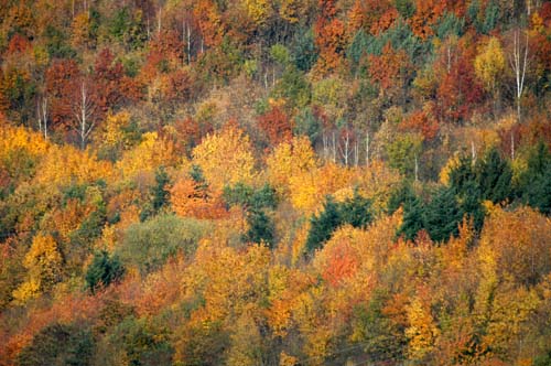 Mosel - Traben-Trabach