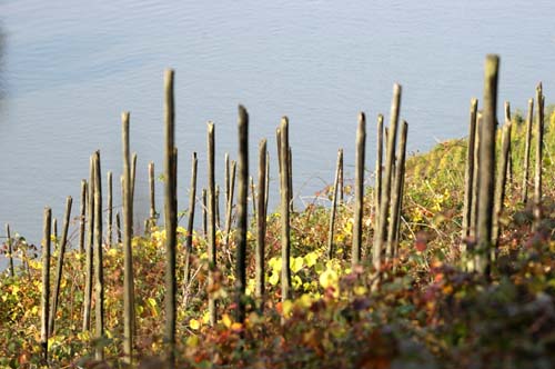 Mosel - Traben-Trabach