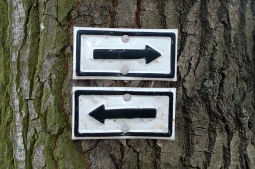 Mosel - Traben-Trabach